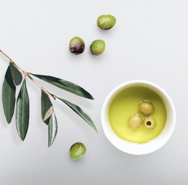 ژل حالت دهنده اکو استایل مدل روغن زیتون Eco Style Olive Oil Styling Gel حجم 946 میلی لیتر - Image 4